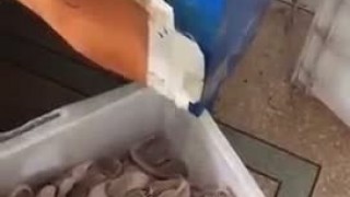 Машина для нанесения силикона на поверхность носка