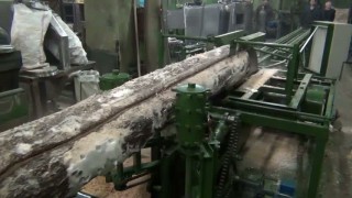 Станок брусующий(лафетный)бревнопильный СЛД-2П-1000M с кантователем и удалением бревна из пильного узла