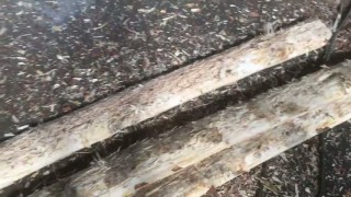 Окорочный станок для горбыля ОСГ-500 “СИТЕК”