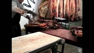 Пила для резки туш от компании РОЗФУД