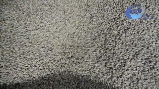 Солододробилка