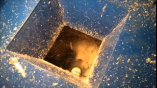 Агломератор АМ-30 рулонов стрейч пленки