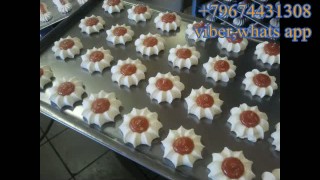 Универсальная отсадочная машина СУРА 600 СДУ