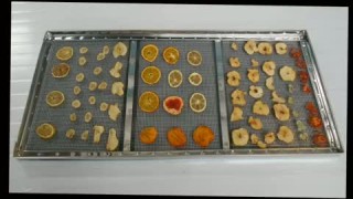 Сушильная камера для овощей и фруктов