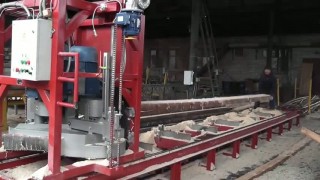 Горизонтальная дисковая пилорама GS-500