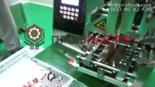 Оборудование для фасовки и упаковки специй в плоский пакет DXDF 60C