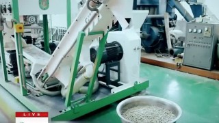 Линия оборудования для производства топливных пеллет MPL 300