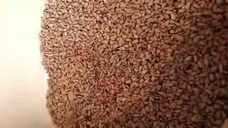 Видео работы аппарата барабанного типа универсального для обжарки семечек, орехов, зёрен кофе