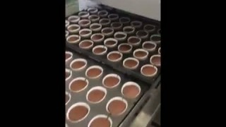 Линия для производства кексов/маффинов/заварного печенья в глазури