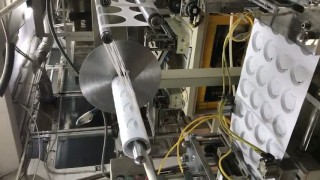 станок для производства крышки DPP420S