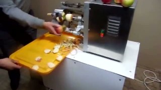 Машина для чистки яблок МЧЯ-205