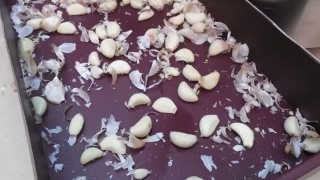 Машина для очистки чеснока МЧ-758