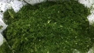 Машина для резки зелени, овощей и фруктов МР-220В