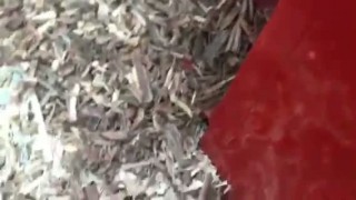 Универсальный шредер для пластика, древесины, бумаги, стекла ШДП-300