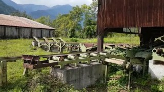  Сортировка круглого леса