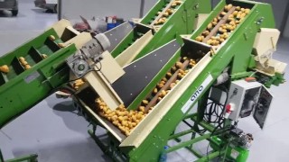 оборудование машина для сортировки калибровки овощей, картофеля, моркови, лука, свеклы, корнеплодов по размеру УК-10