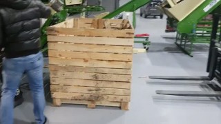 Линия мойки, полировки, сушки, сортировки, калибровки, фасовки, упаковки картофеля, овощей, моркови, свеклы, лука, корне