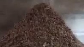 Барабанная рубительная машина МРБ 30