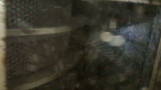 дробление биг-бегов Herbold SMS 80 / 120-7-3 Воронеж