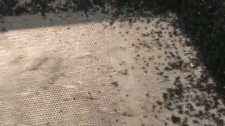 ACS500-100 гранулятор--ПП мешки