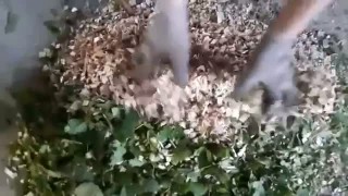 Садовый измельчитель Садовник 300