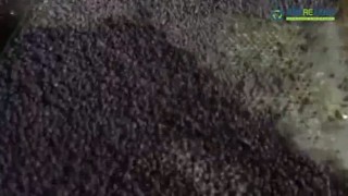 Линия грануляции переработка пластмассовых отходов вторичного сырья