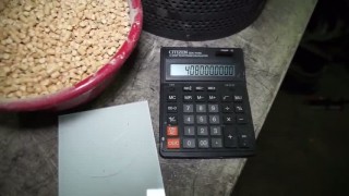 Гранулятор для опилок с кольцевой матрицей ГУ-22