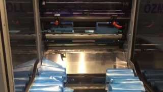 OZM 700 ROLL СТАНОК ДЛЯ ПРОИЗВОДСТВА МУСОРНЫХ ПАКЕТОВ В РУЛОНАХ