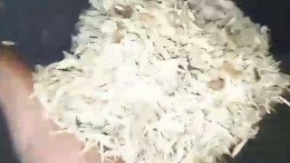 Щепорез Д630 22Квт для производства топливной щепы сито 10мм