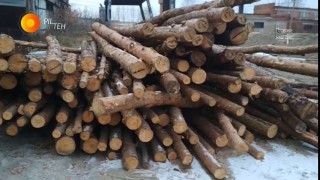 Линия тонкомера УПТ-250М, преимущества. Два станка (брусовал и многопил) в одной линии тонкомера.