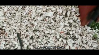 Измельчитель дерева, веток щеподробилка "ЩДС-6"