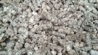 Пресс-агломератор новый (37кВт) 