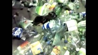 Перфоратор для ПЭТ-бутылок, пластиковой тары СТП-3000