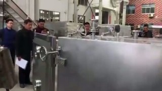 FZG Статическая вакуумная сушка