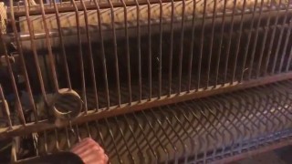 Станок для нанесения клея вальцами Omma GS 414