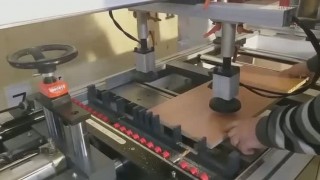 Сверлильно-присадочный станок MZ73212А (СтанкоChel)