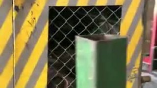 A.Costa. двухвальный многопильный станок LEONE/293