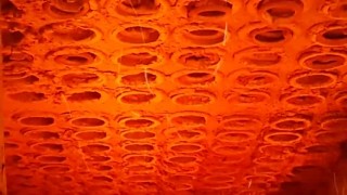 Горение антрацита в котле с механизмом автоматической чисткой теплообменника