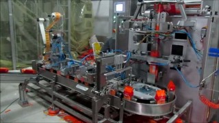 1-CVP15V Vertical Packaging Machine With Caroussel System / вертикально-упаковочная машина