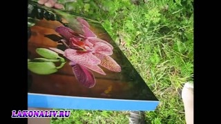 Линия лаконалива 850мм