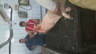 Шпарчан - Скребмашина,находится в России 