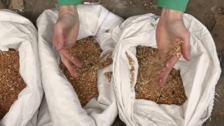 Зерноочистительный сепаратор АСМ-5 