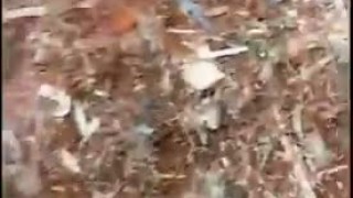 Дробилка DGP 63092