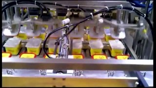 Фасовочный автомат линейный АДНК 39 Д-6Л