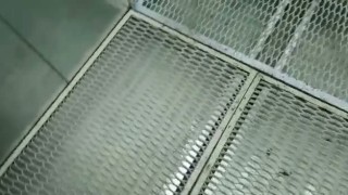 Окрасочная камера WoodTec WT 2500 NEW