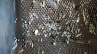 Универсальная линия мойки твердых отходов