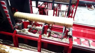 Wravor окорочный станок