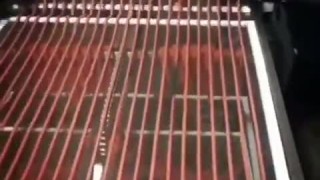 HydroShpriz для мясных/рыбных снеков, кабаносы, безоболочка, 50кг/5 мин