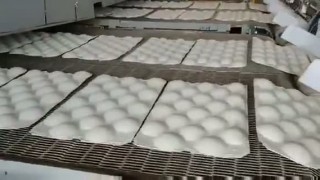 Производственная линия по выпуску бумажных альвеол для фруктов, овощей и упаковки куриных яиц