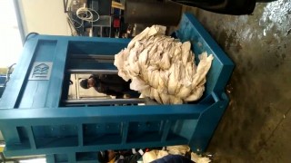 Гильотина гидравлическая (лезвие 1400мм)